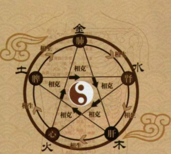 ​五音是什么，五脏六腑.五行.五方.五音.五色各指的是什么？