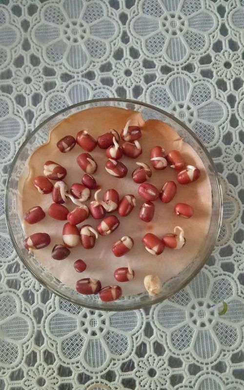 红豆泡发芽了还能吃吗