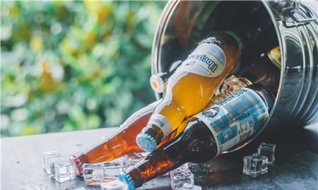 山竹的吃法与禁忌,山竹和什么不能一起吃图3