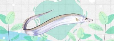 ​带鱼生活在海底多少米,深海带鱼生活在海底多少米