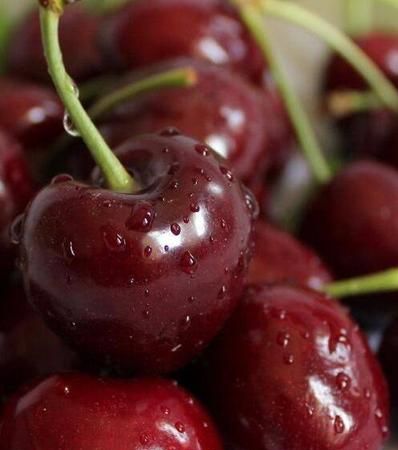 车厘子染衣服怎么洗掉