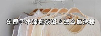 ​车厘子水滴在衣服上怎么能洗掉,车厘子汁弄到衣服上怎么办