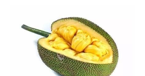 菠萝蜜隔夜可以吃吗，菠萝蜜没有冰箱可以放第2天再吃吗？图3