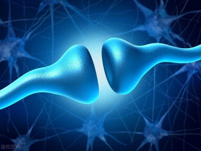 ​突触后抑制的分类及生理意义