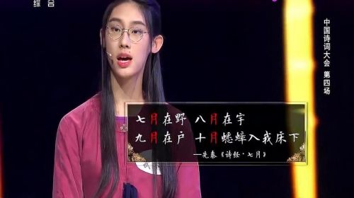 诗词大赛武亦姝对战彭敏(古诗词大赛冠军武亦姝)-第1张图片-