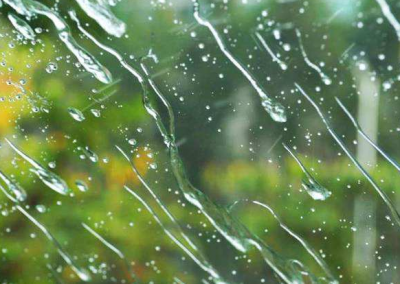 ​杨万里是哪个朝代的诗人（杨万里一首不知名诗，却写得唯美又经典，魅力独特可