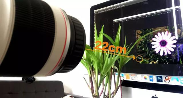 怎么学会拍摄微距（如何在家里拍出漂亮的微距）(9)