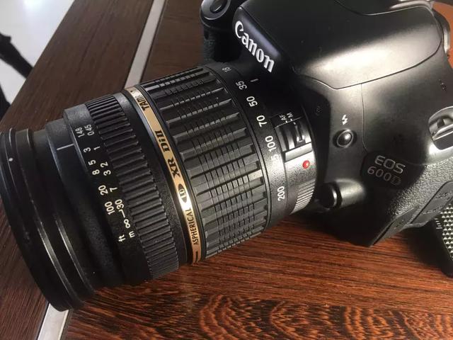 怎么学会拍摄微距（如何在家里拍出漂亮的微距）(17)