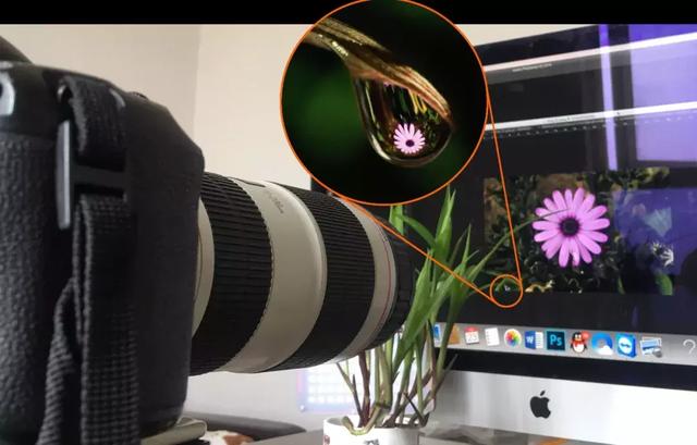 怎么学会拍摄微距（如何在家里拍出漂亮的微距）(2)