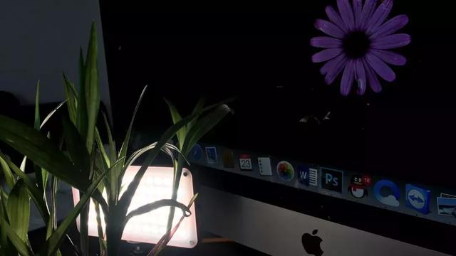 怎么学会拍摄微距（如何在家里拍出漂亮的微距）(3)