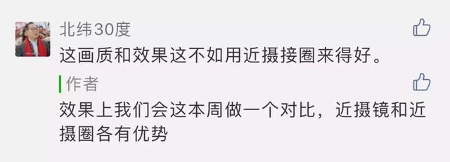 怎么学会拍摄微距（如何在家里拍出漂亮的微距）(24)