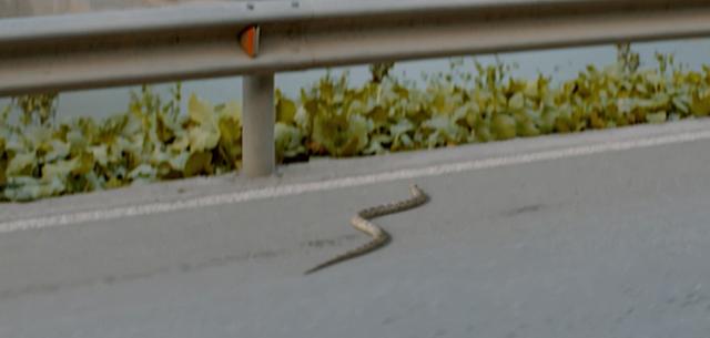 常见的叙事结构（从叙事结构出发）(8)