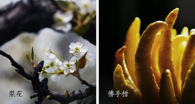 让人值得珍藏的10种味道（这是东方女性挚爱的香味）(14)