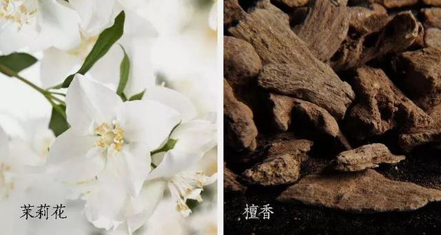 让人值得珍藏的10种味道（这是东方女性挚爱的香味）(11)