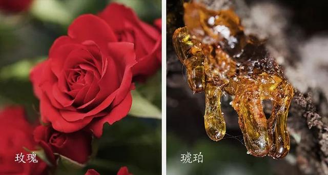 让人值得珍藏的10种味道（这是东方女性挚爱的香味）(7)