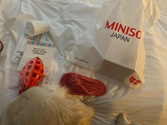 名创优品惊天秘密曝光（伪装成日本名牌）(15)