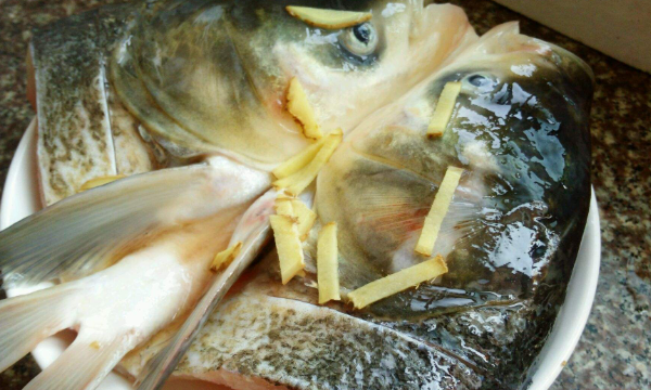 老头鱼怎么做好吃,东北蝶鱼头是什么鱼图1
