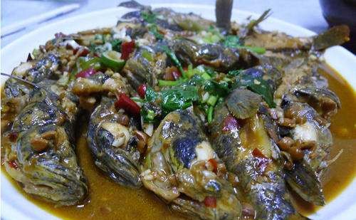 老头鱼怎么做好吃,东北蝶鱼头是什么鱼图5
