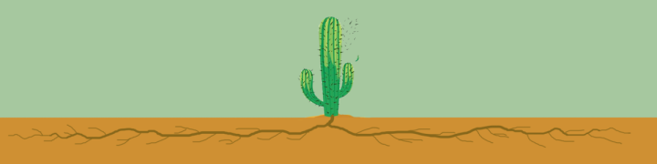 仙人掌进行光合作用是依靠什么（科普仙人掌的小知识）