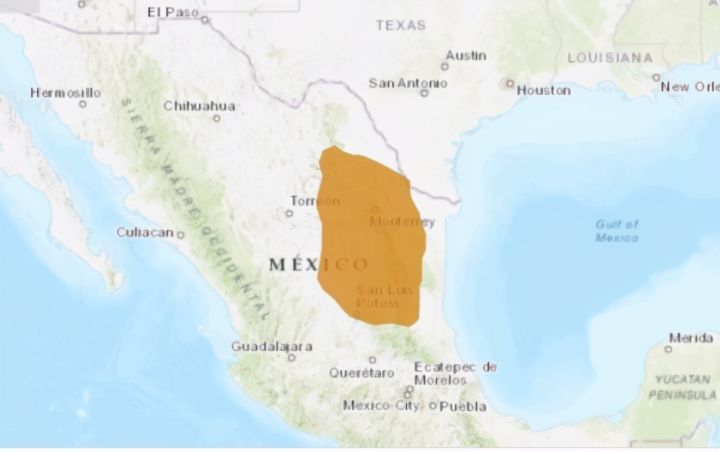 仙人掌进行光合作用是依靠什么（科普仙人掌的小知识）