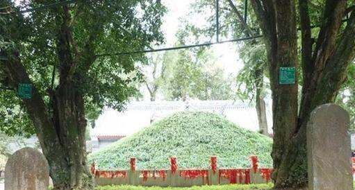 诸葛亮墓挖出惊人秘密,诸葛亮的墓里有什么字图10