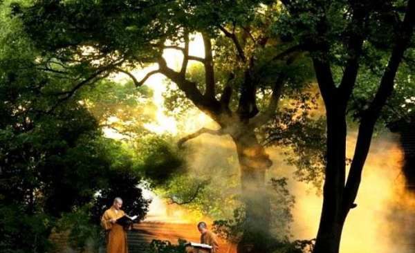 菩提本无树何处惹尘埃什么意思,菩提本无树明镜亦非台,本来无一物,何处惹尘埃什么意思图2