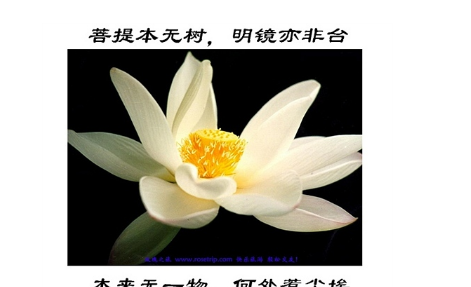 菩提本无树何处惹尘埃什么意思,菩提本无树明镜亦非台,本来无一物,何处惹尘埃什么意思图4