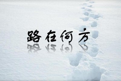 ​多年百家玩家解析庄闲各类打法技巧总揽，助你一臂之力