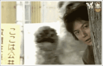 福山雅治中年恋情(一个有洁癖的不婚主义大叔)(39)