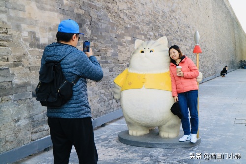 打卡新圣地来啦！北京故宫现巨型“御猫”萌翻众人