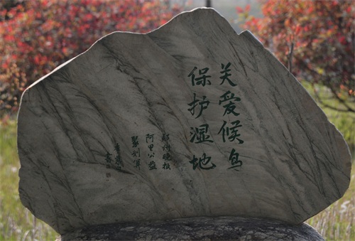 实拍郑州黄河国家湿地公园