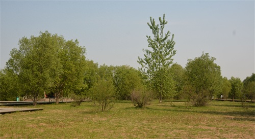 实拍郑州黄河国家湿地公园