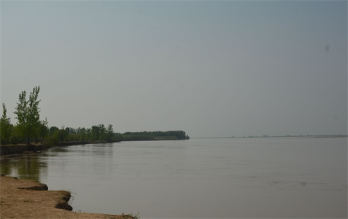 实拍郑州黄河国家湿地公园