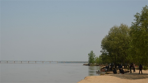 实拍郑州黄河国家湿地公园