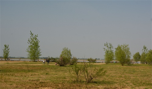 实拍郑州黄河国家湿地公园