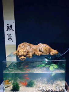 ​镇水神兽生性喜水，镇守河道，为保佑一方风调雨顺的吉祥吸财之兽