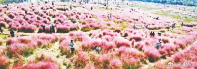 ​武汉昔日垃圾填埋场变身热门打卡地