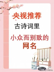 ​央视推荐：古诗词里小众而别致的网名