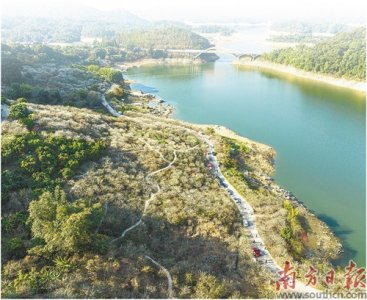 ​流溪“香雪”