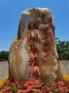 ​说说含“二”字的成语大世界