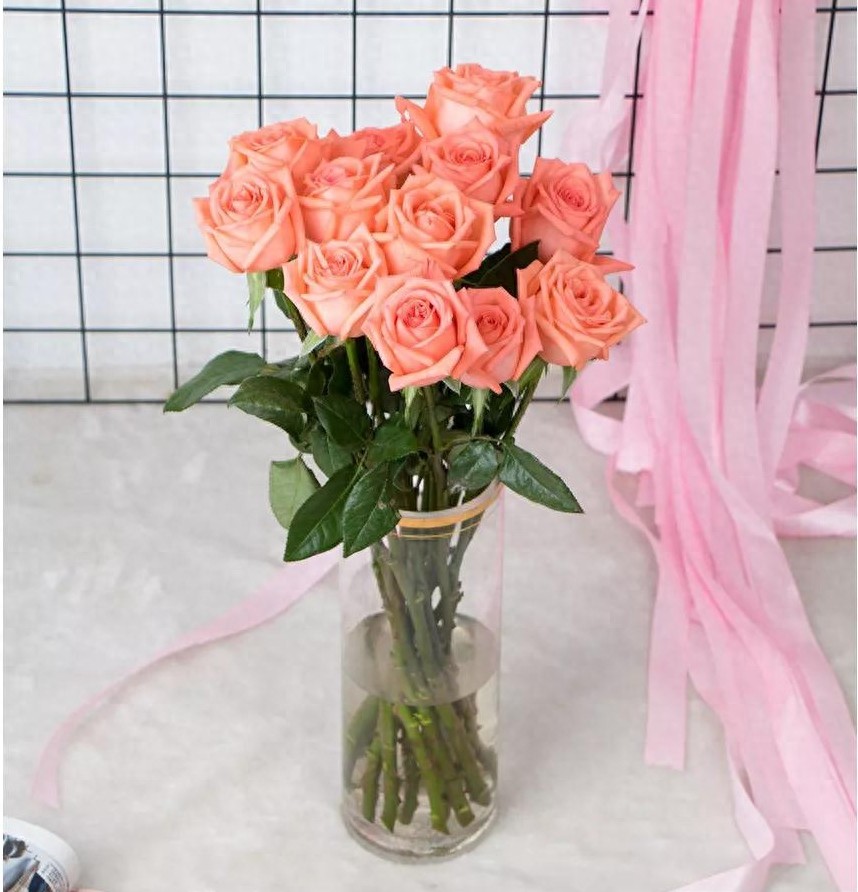 影星玫瑰，生而不凡  #唤醒好春光#