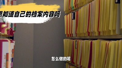 ​怎么查询自己的档案内容