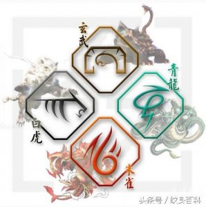 ​纹身中，常用到的上古四大神兽。