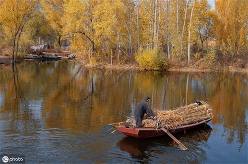河北白洋淀：北国的江南，北地的西湖