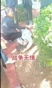 ​胆大包天！缅甸战火蔓延至云南边境，移动营业厅遭遇冲击