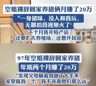 ​空姐转行养猪，两个月挣20万！放弃光鲜生活只为陪伴父母！