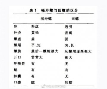 ​福寿螺体内寄生虫多达6000条！见到请立即清除