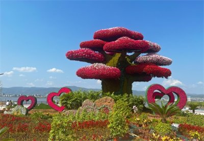 ​晋阳湖公园景色如画