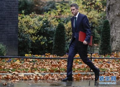 ​英国国防大臣因泄密被解职
