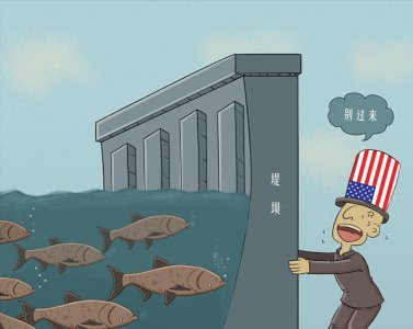 ​体型庞大如猪的亚洲鲤鱼，美国泛滥成灾，为何在中国却难逃童年？